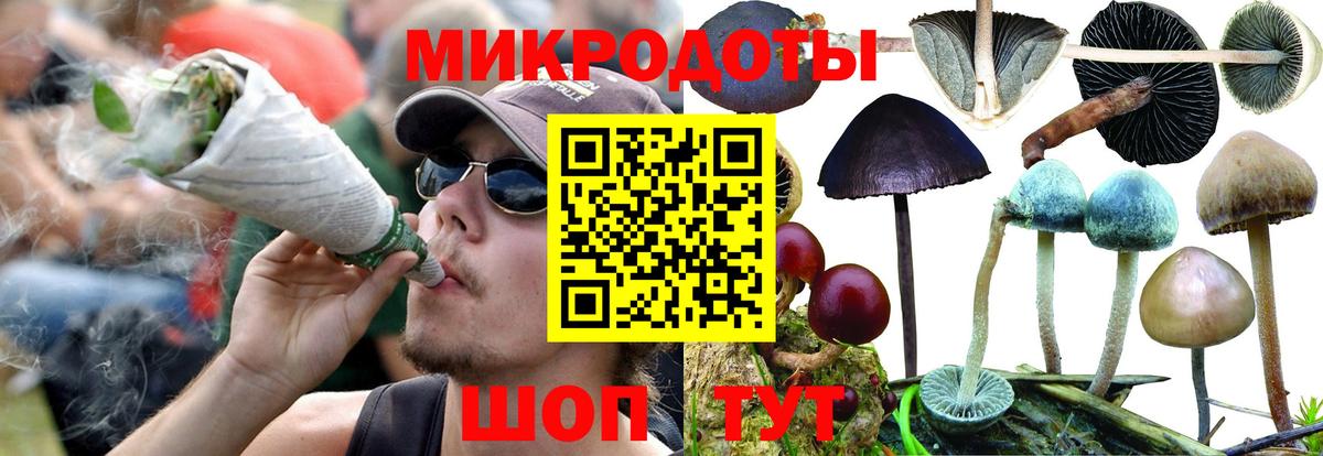 Галлюциногенные грибы Magic Shrooms  Галлюциногенные грибы Psilocybe  Вход с VPN  Мценск 